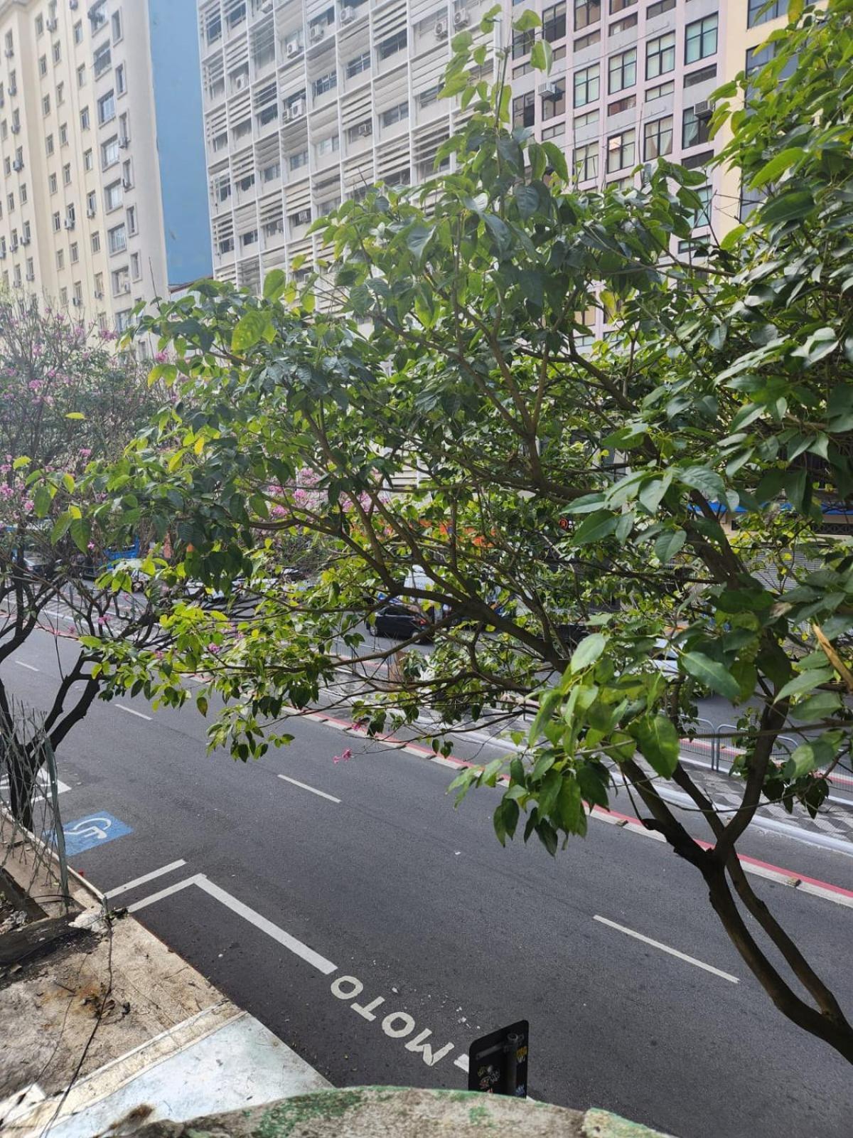 Fujima Hostel São Paulo Luaran gambar